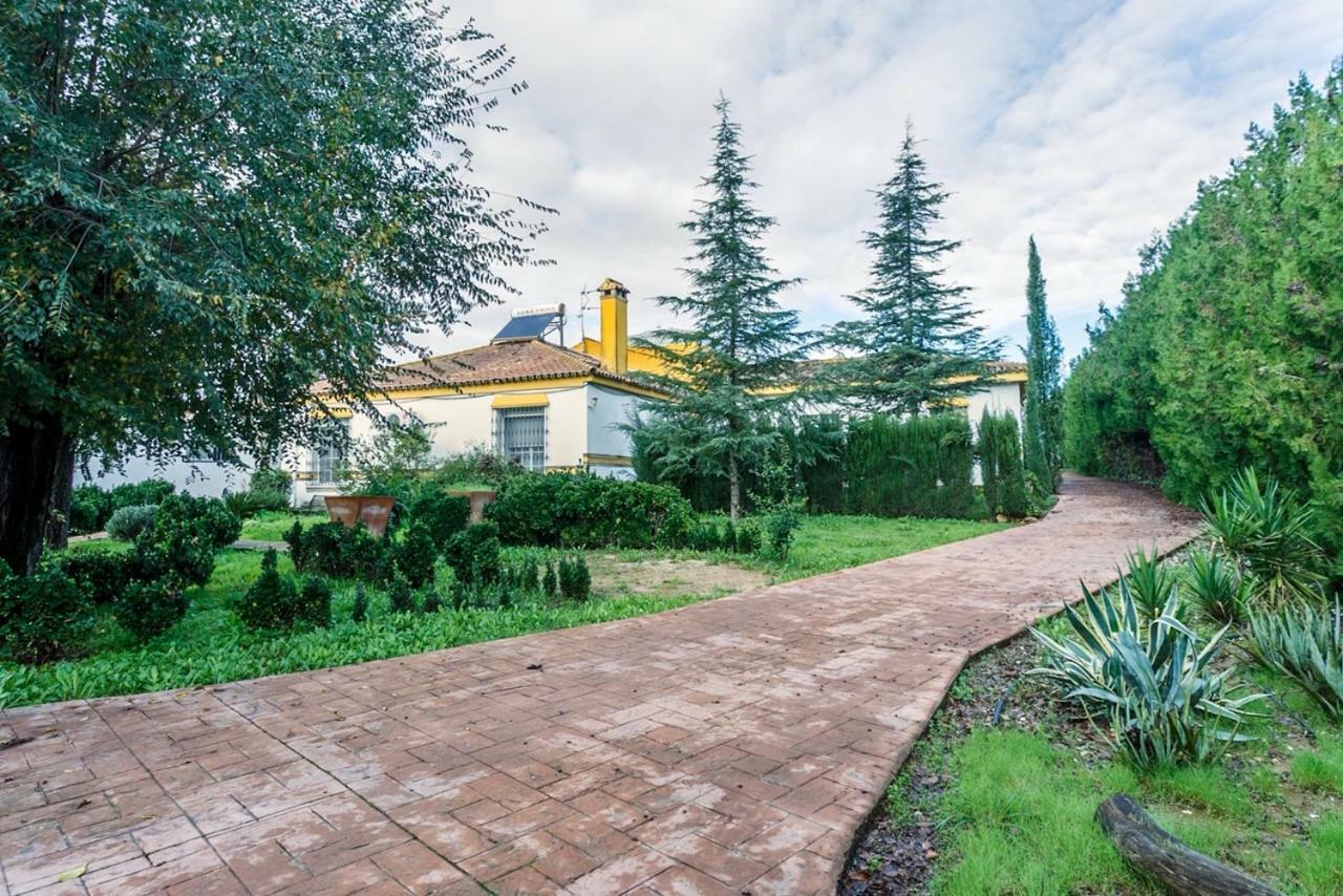 شقة Casa Elizabeth Palomares del Río المظهر الخارجي الصورة